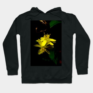 Yellow Rush Lily Close Up Hoodie